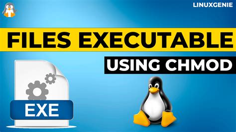 chmod to make executable